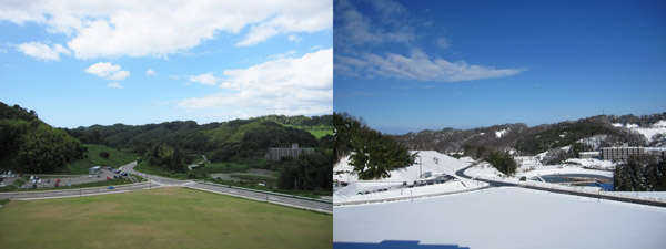 Scenery from our lab of two seasons. 